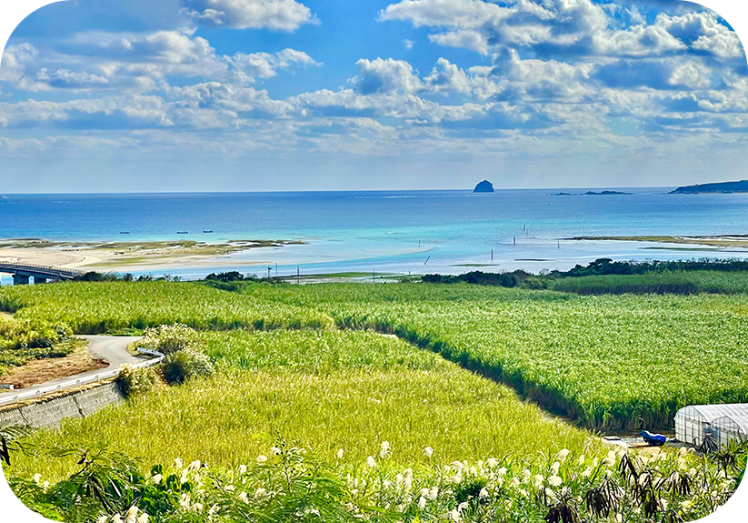 久米島の風景