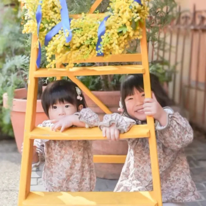 ぽめちわ　モルトさんとふーちゃん