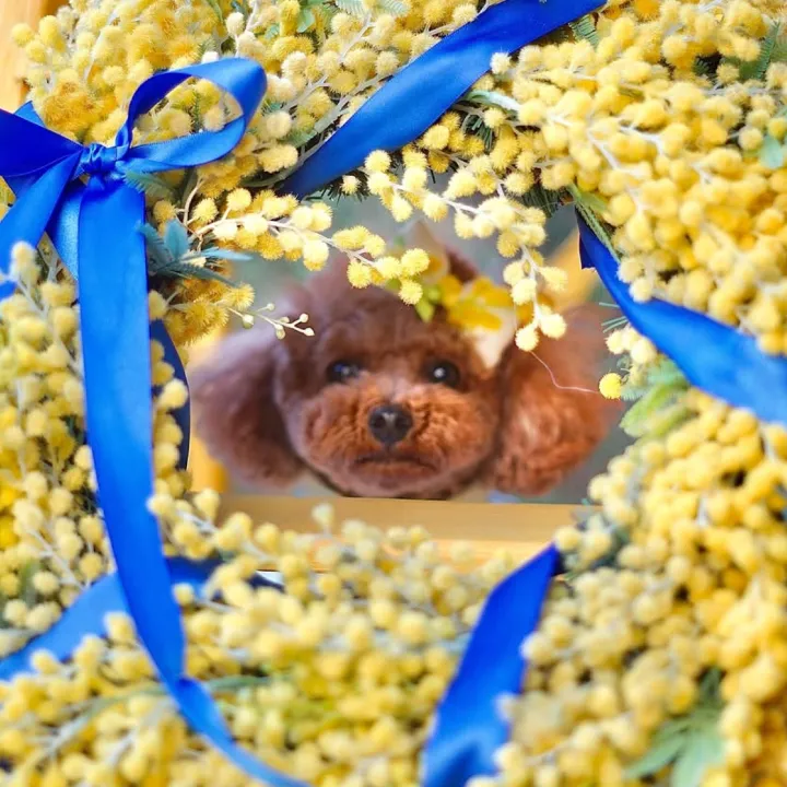 ✩⋆*॰らら¨̮⋆｡˚✩