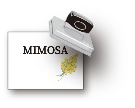 商業施設を巡って9個のスタンプを集めよう