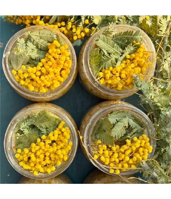 アーユルヴェーダプログラム