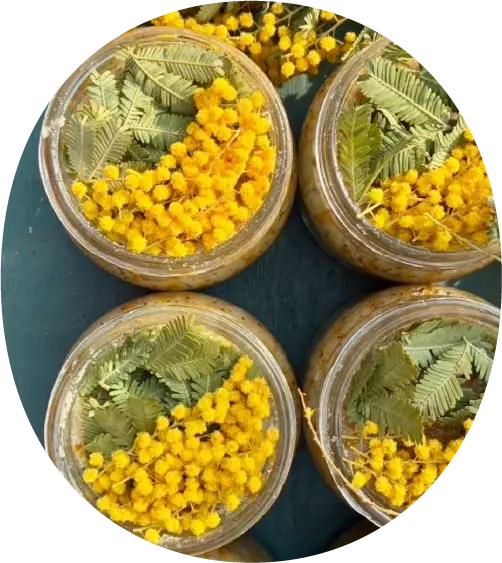 アーユルヴェーダプログラム