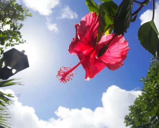 Bella/Bello! Winterキャンペーン