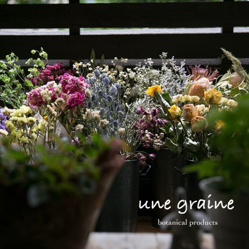 une graine