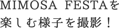 MIMOSA FESTAを楽しむ様子を撮影！