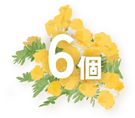 6個