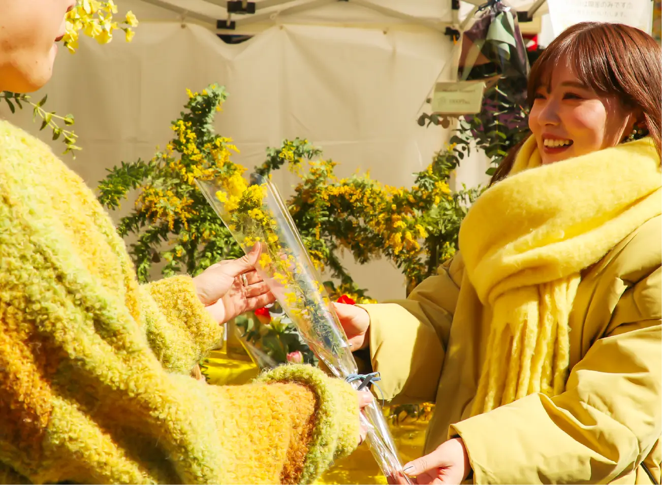 ミモザページ MIMOSA FESTA 2026 Bloom in your own way. 自分らしく咲こう。