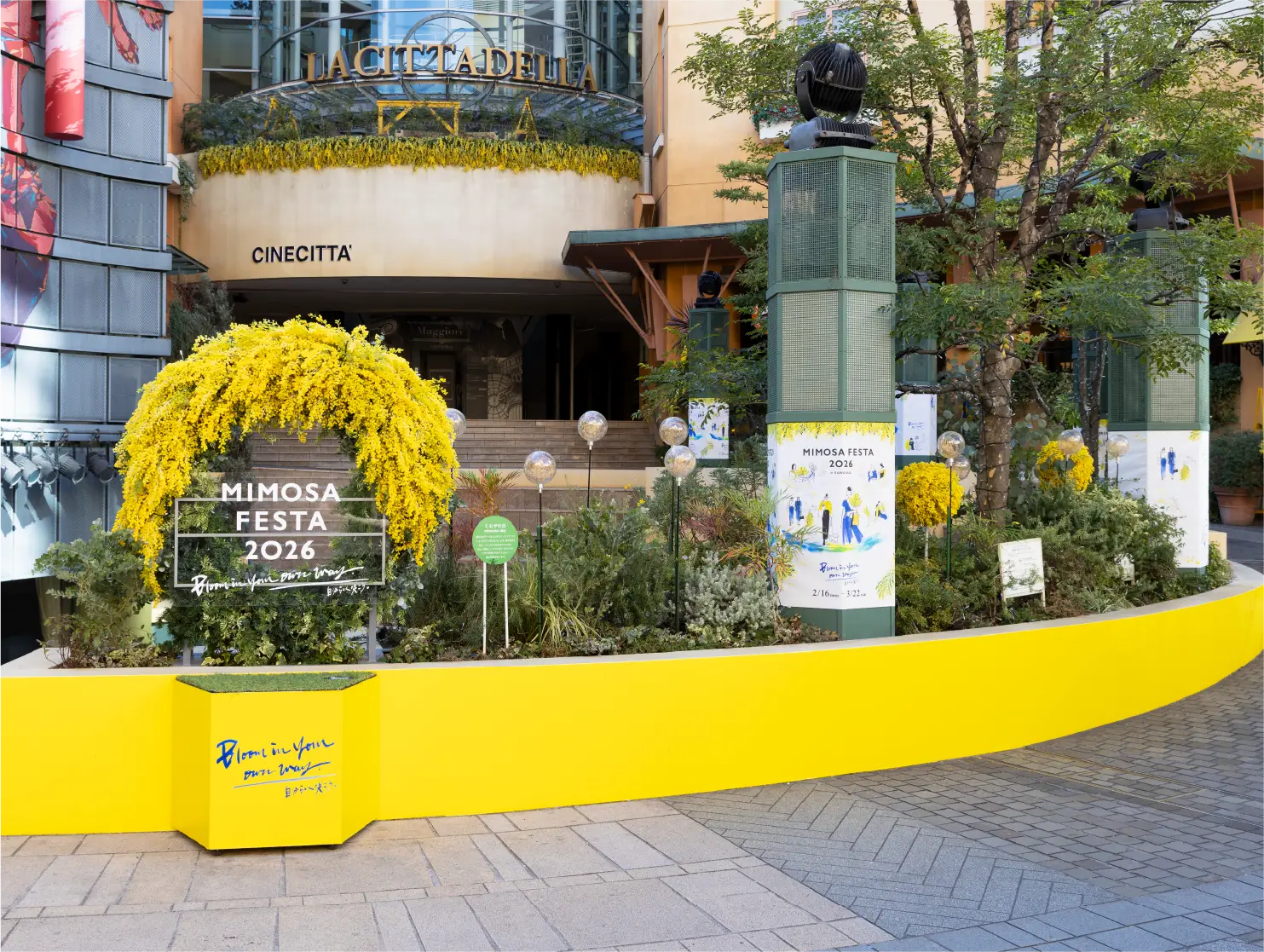 MIMOSA FESTA 2026 Bloom in your own way. 自分らしく咲こう。