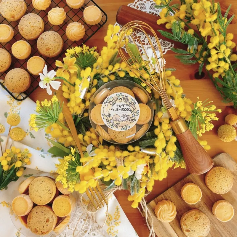 WEEKEND EVENT | MIMOSA FESTA 2026 Bloom in your own way. 自分